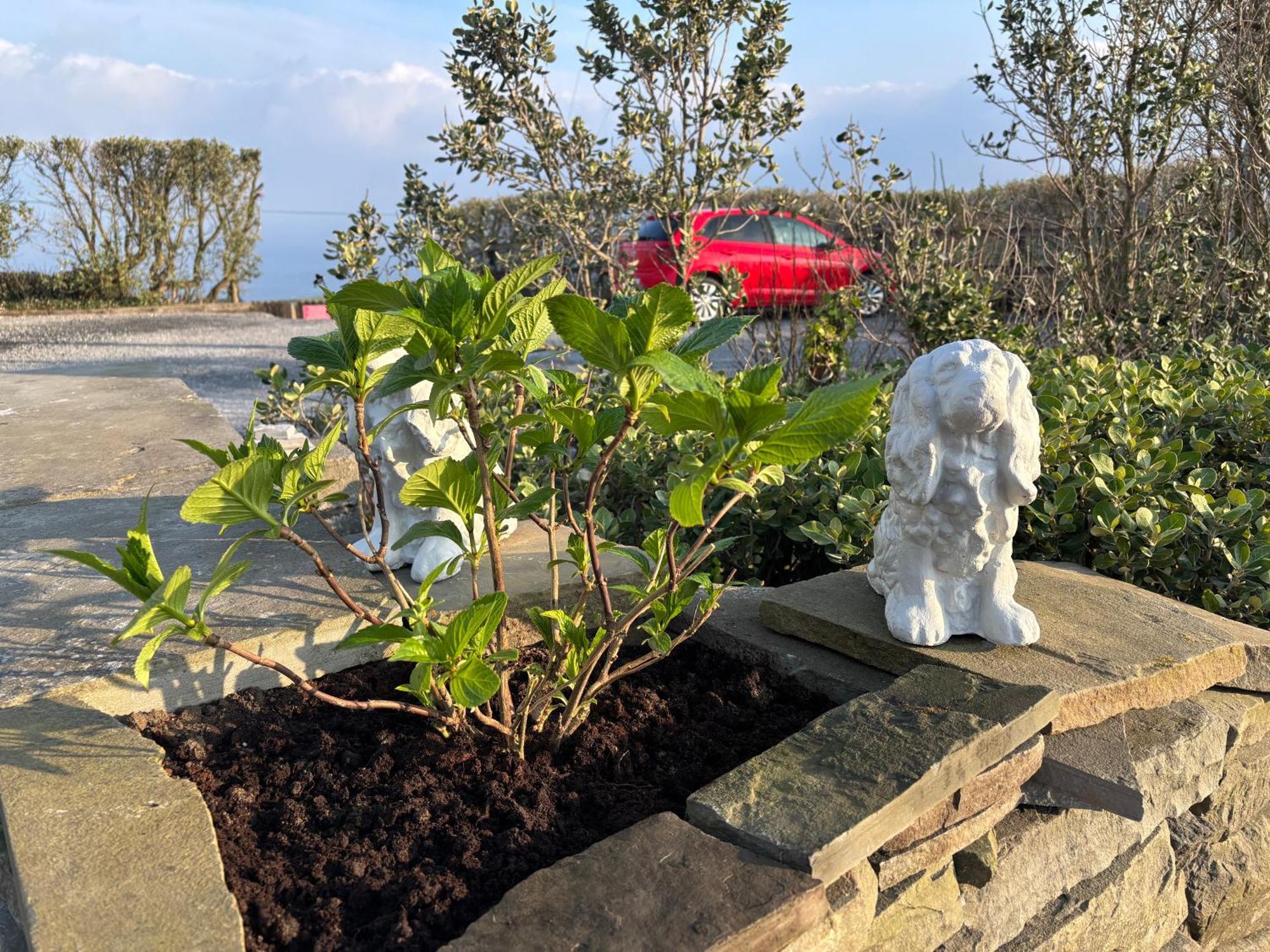 Ocean View Guestrooms Doolin Exterior foto